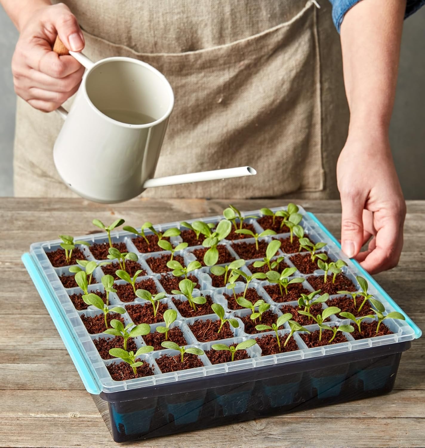 Reusable planting pots