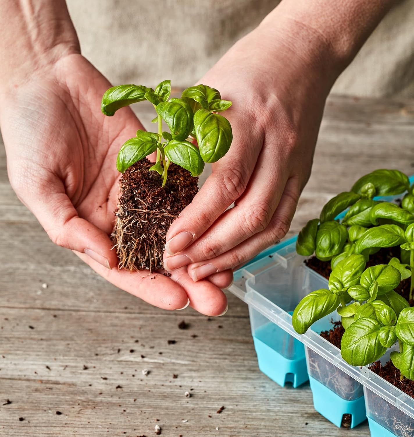 Reusable planting pots