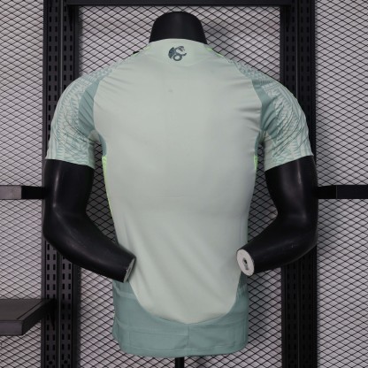 2025 Mexico Away Jersey