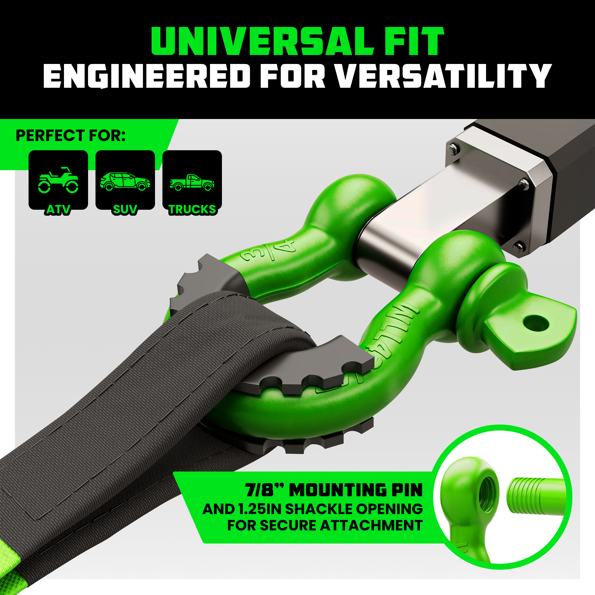 3/4" D-Ring Shackle Set (2-Pack)