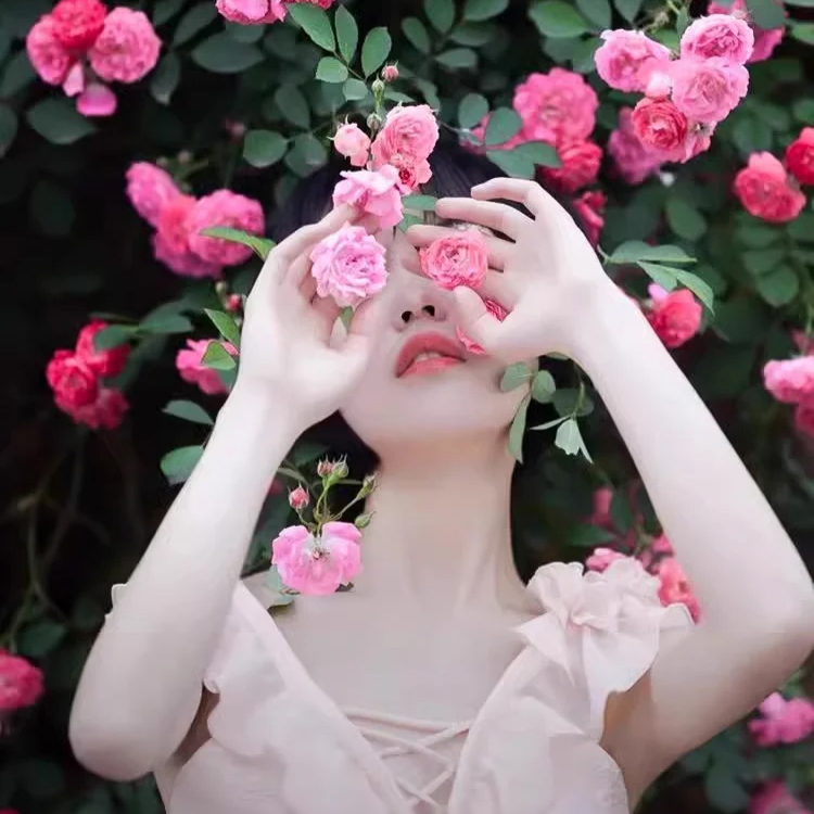 【Doručení hnojiva】balíček semen růží, které pokryjí celou zahradu, popínají zdi a dvůr.