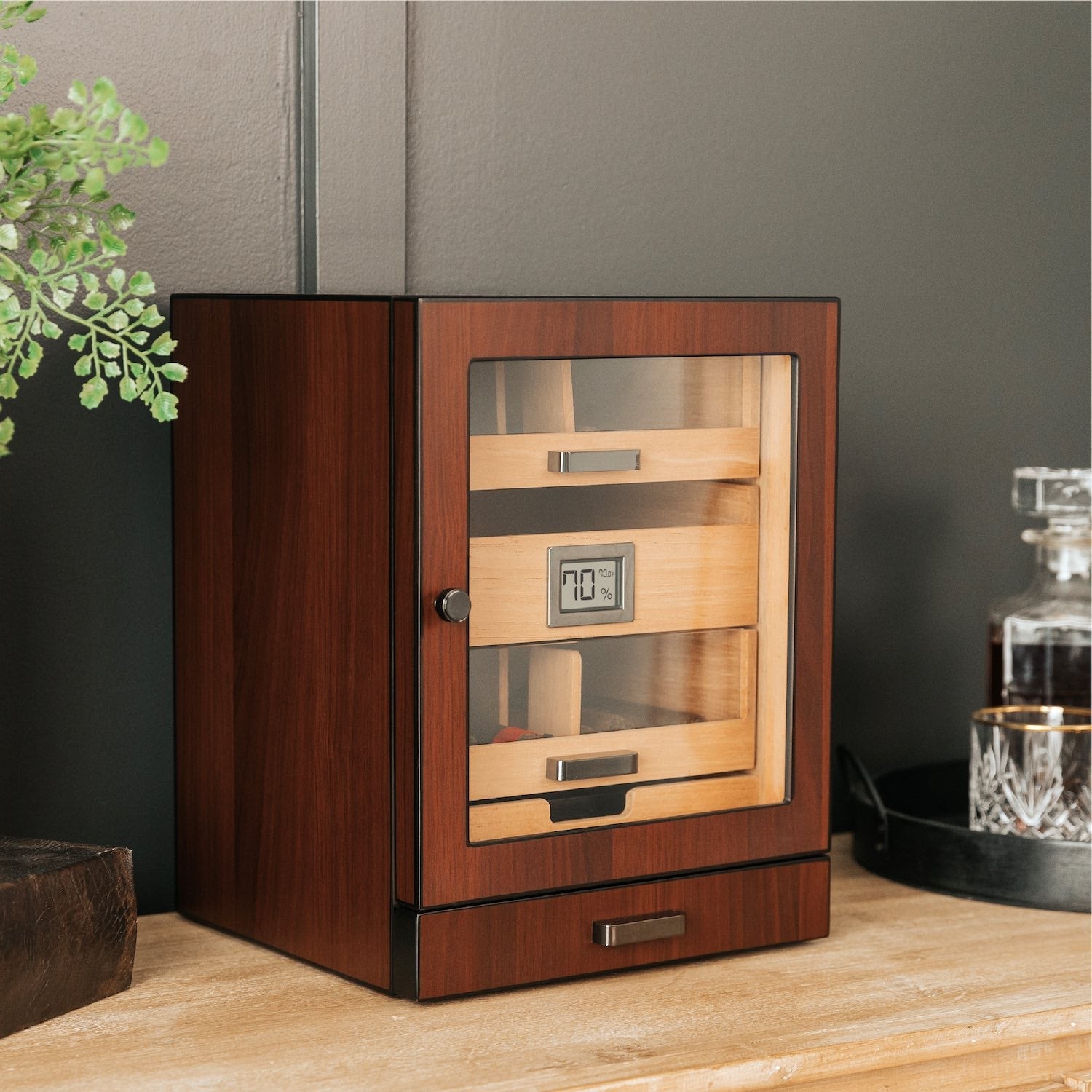 Batlua007 Humidor Cabinet + Smart Valet
