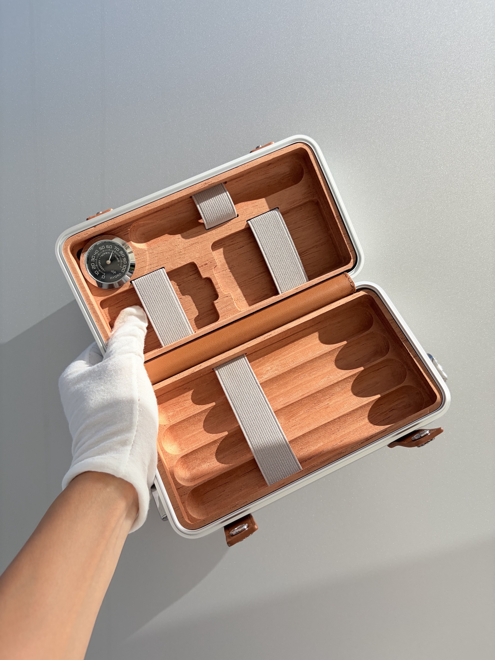 Silver Brown Luxury Cigar Travel Case – RMW Style Portable Box