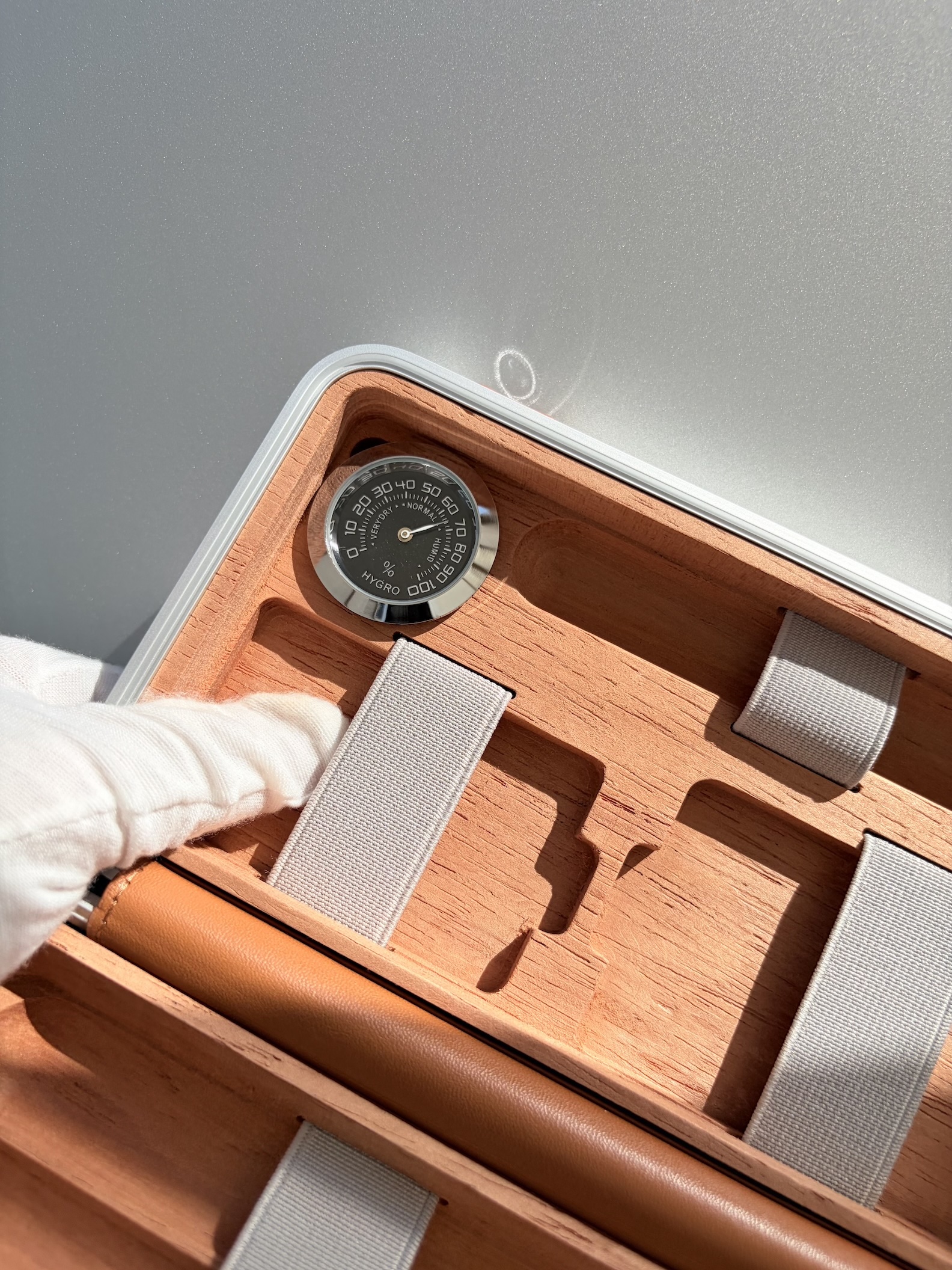 Silver Brown Luxury Cigar Travel Case – RMW Style Portable Box