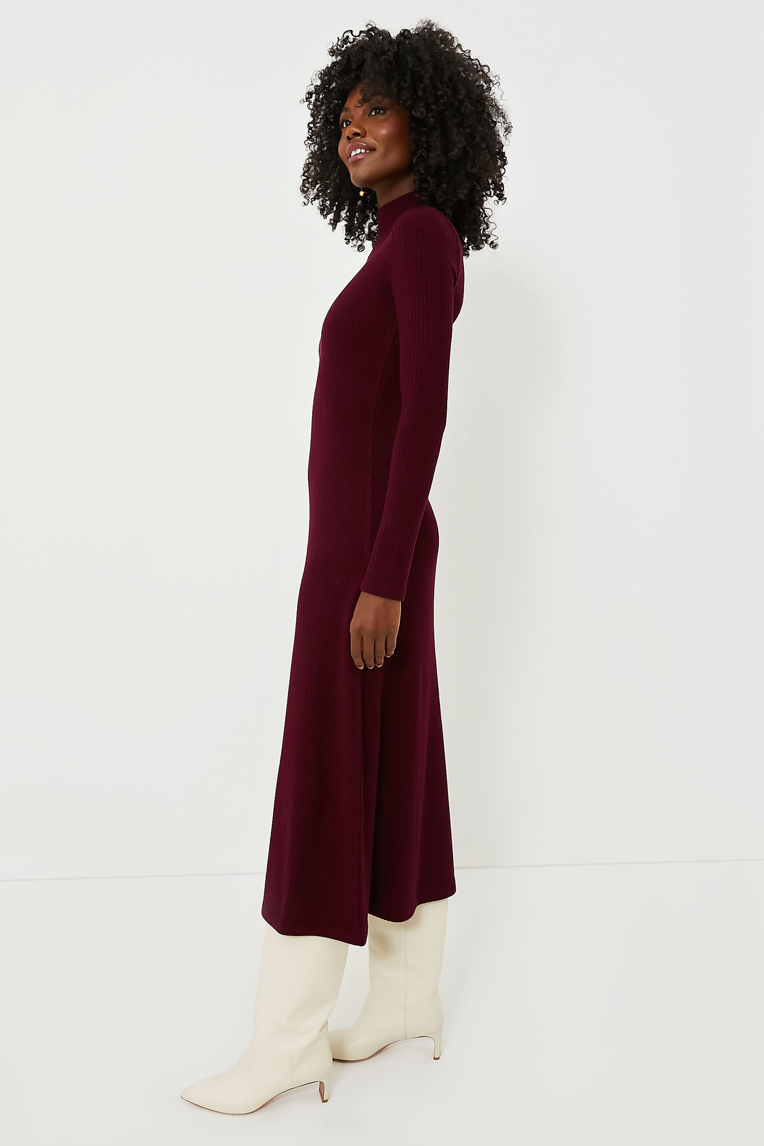 Cassis Long Sleeve Mock Neck Dress-Charming Tale Store