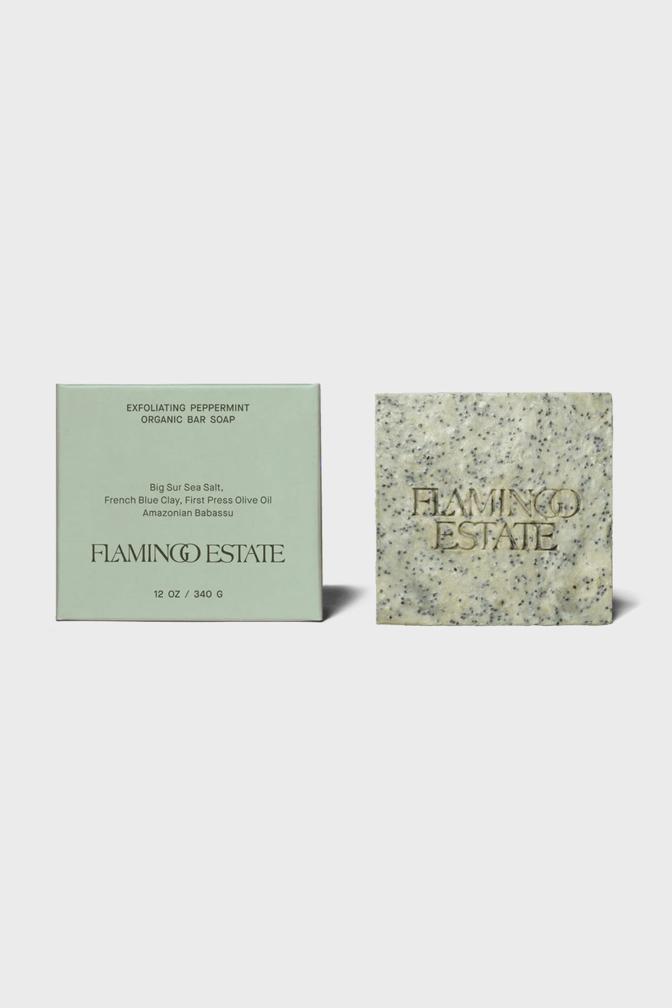 Exfoliating Peppermint Soap Brick-Charming Tale Store