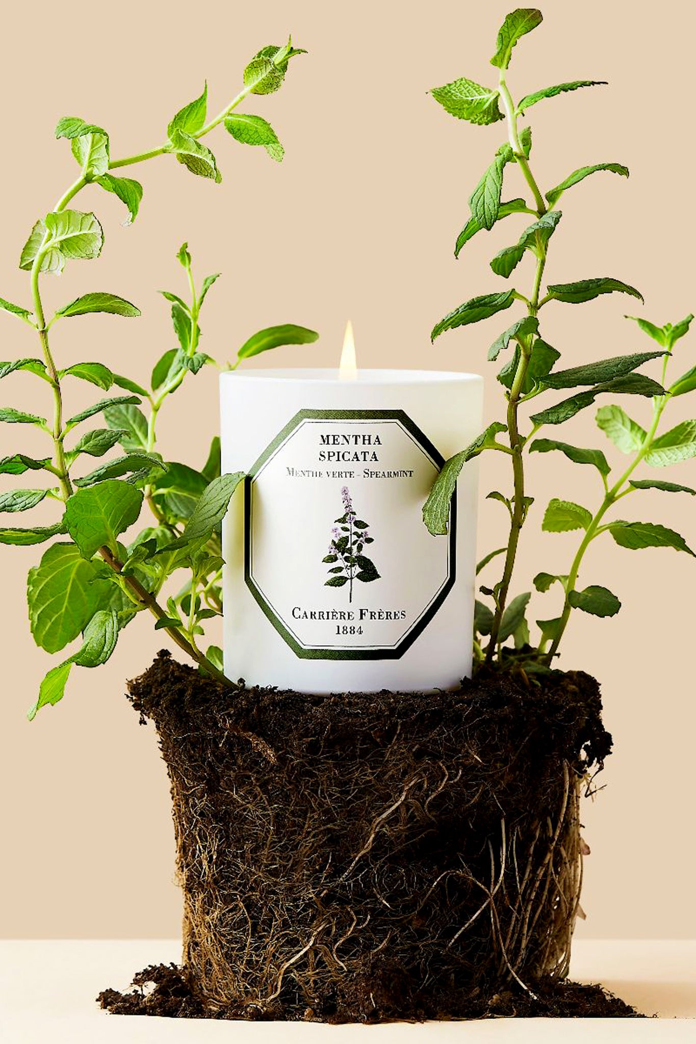 Spearmint Candle-Charming Tale Store