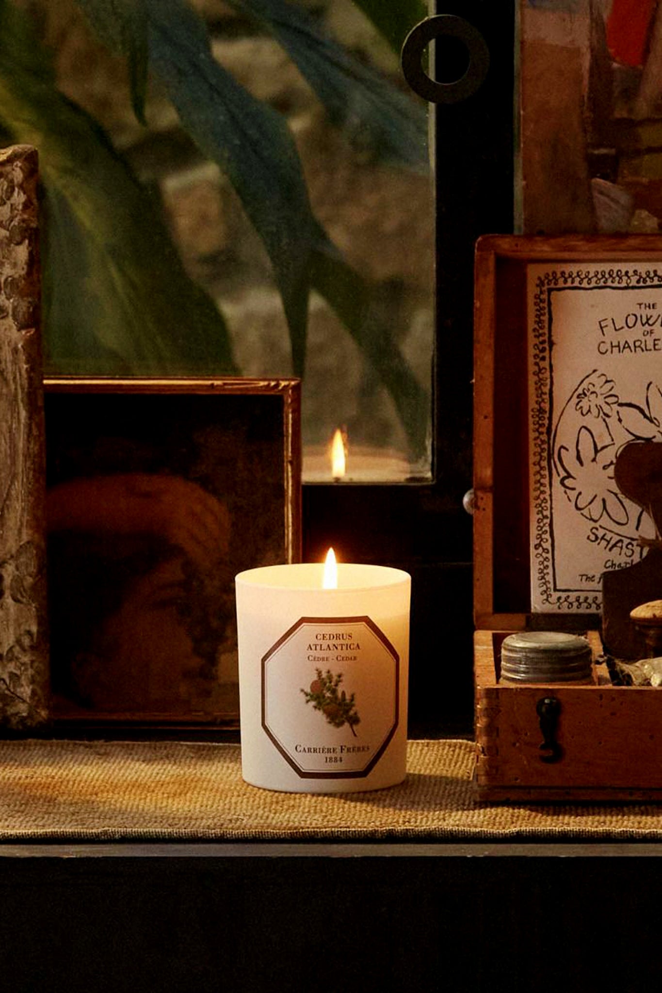 Cedar Candle-Charming Tale Store