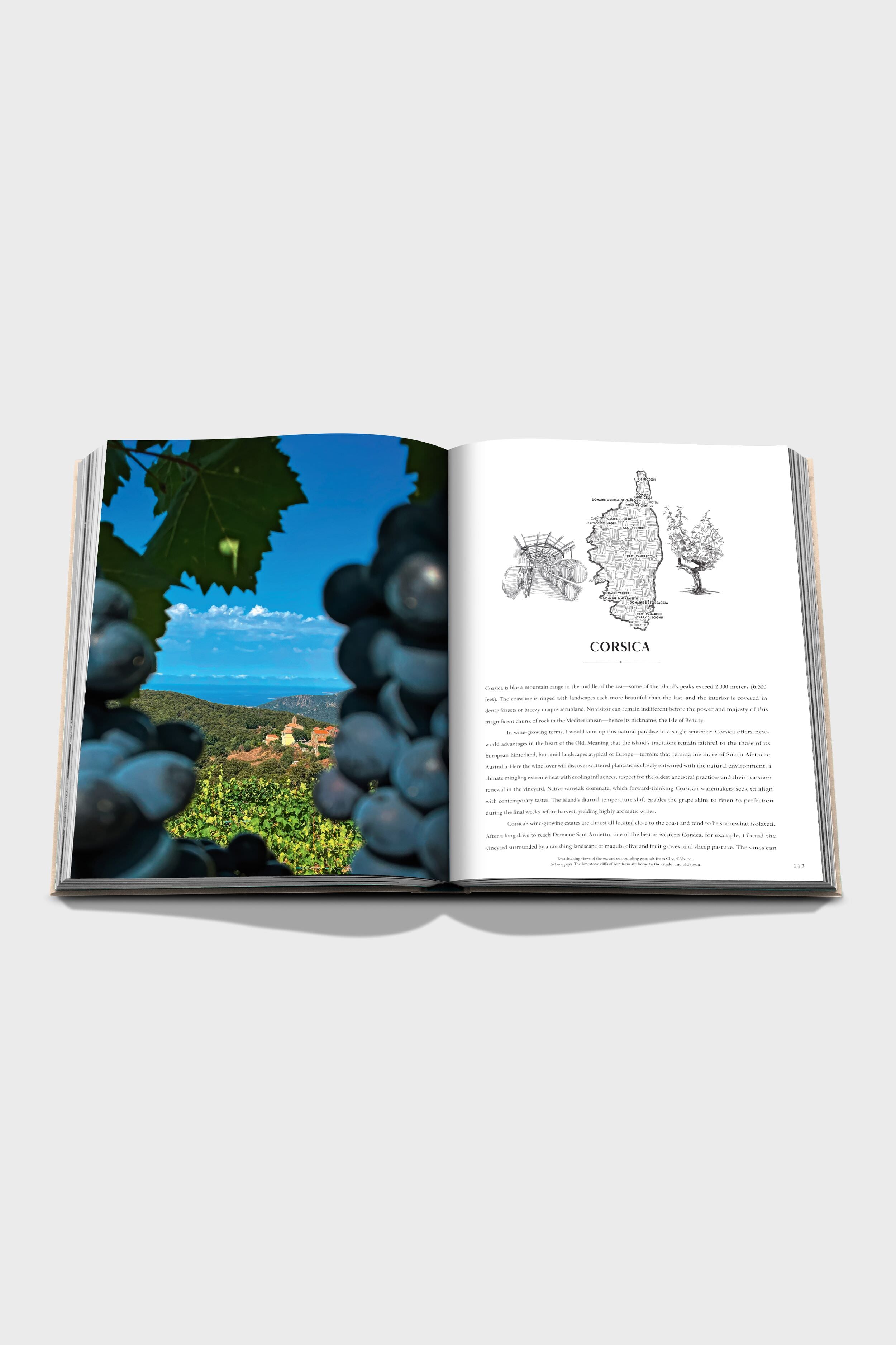 Wine & Travel France-Charming Tale Store