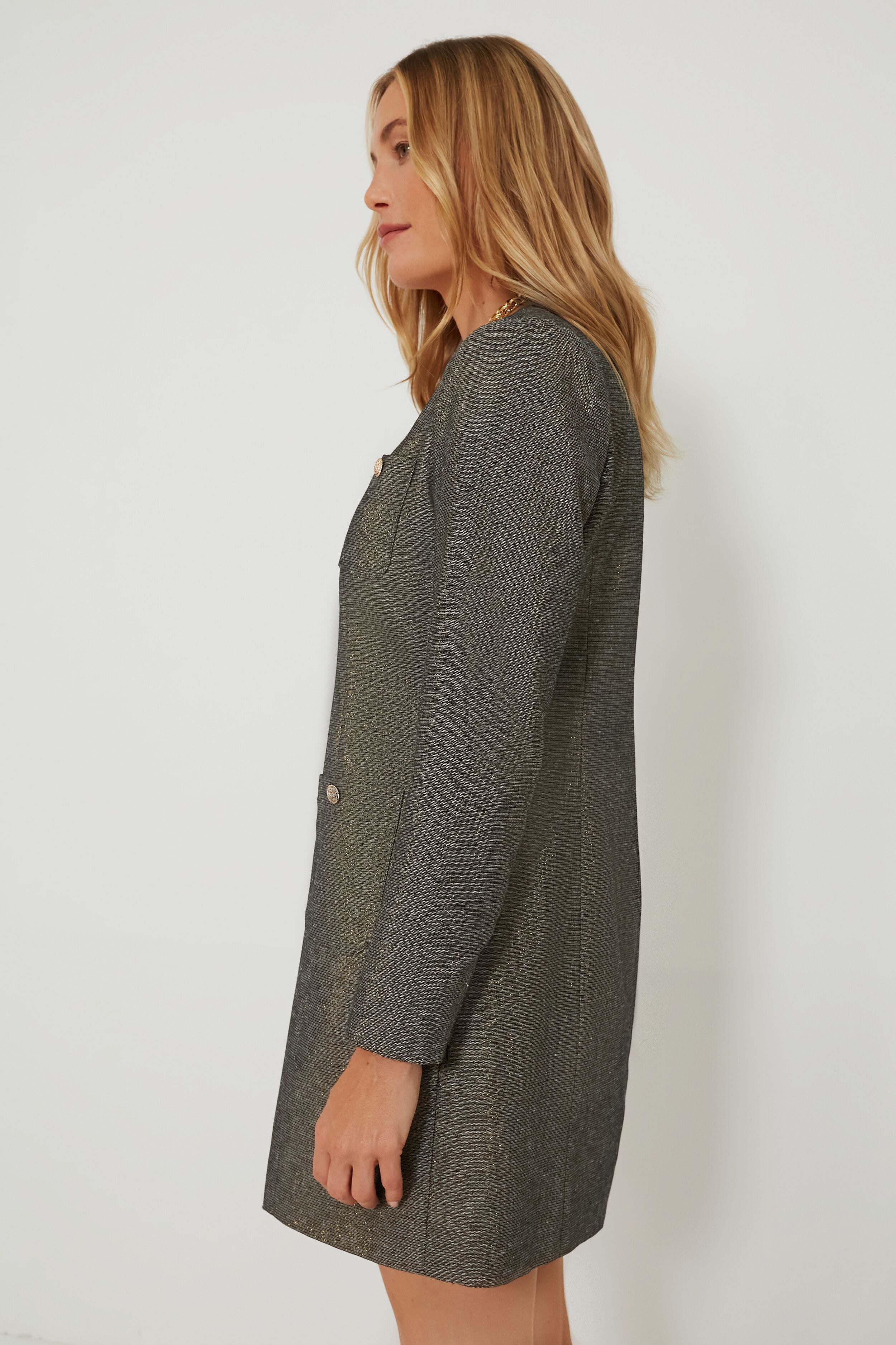 Coventry Metallic Keira Dress-Charming Tale Store