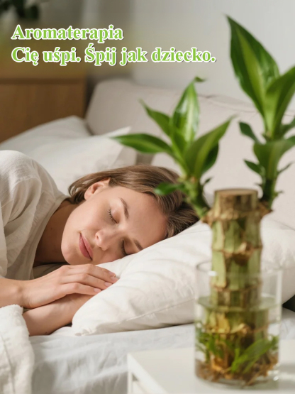 【Gdy napotka wodę, ożywa】Czteropory roku kwitnąca hydroponiczna brazylijska szczęśliwa roślina