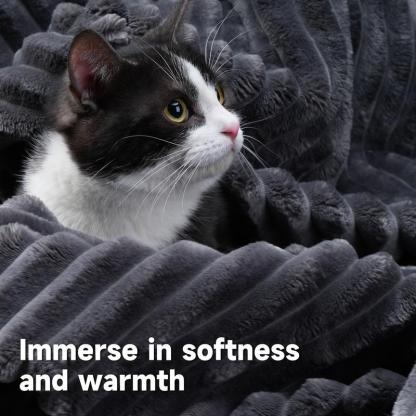 💥𝗟𝗶𝗺𝗶𝘁𝗲𝗱 𝗧𝗶𝗺𝗲 𝗢𝗳𝗳𝗲𝗿💖【Buy 2 Packages Shipping】L-Shaped Sectional Sofa Set