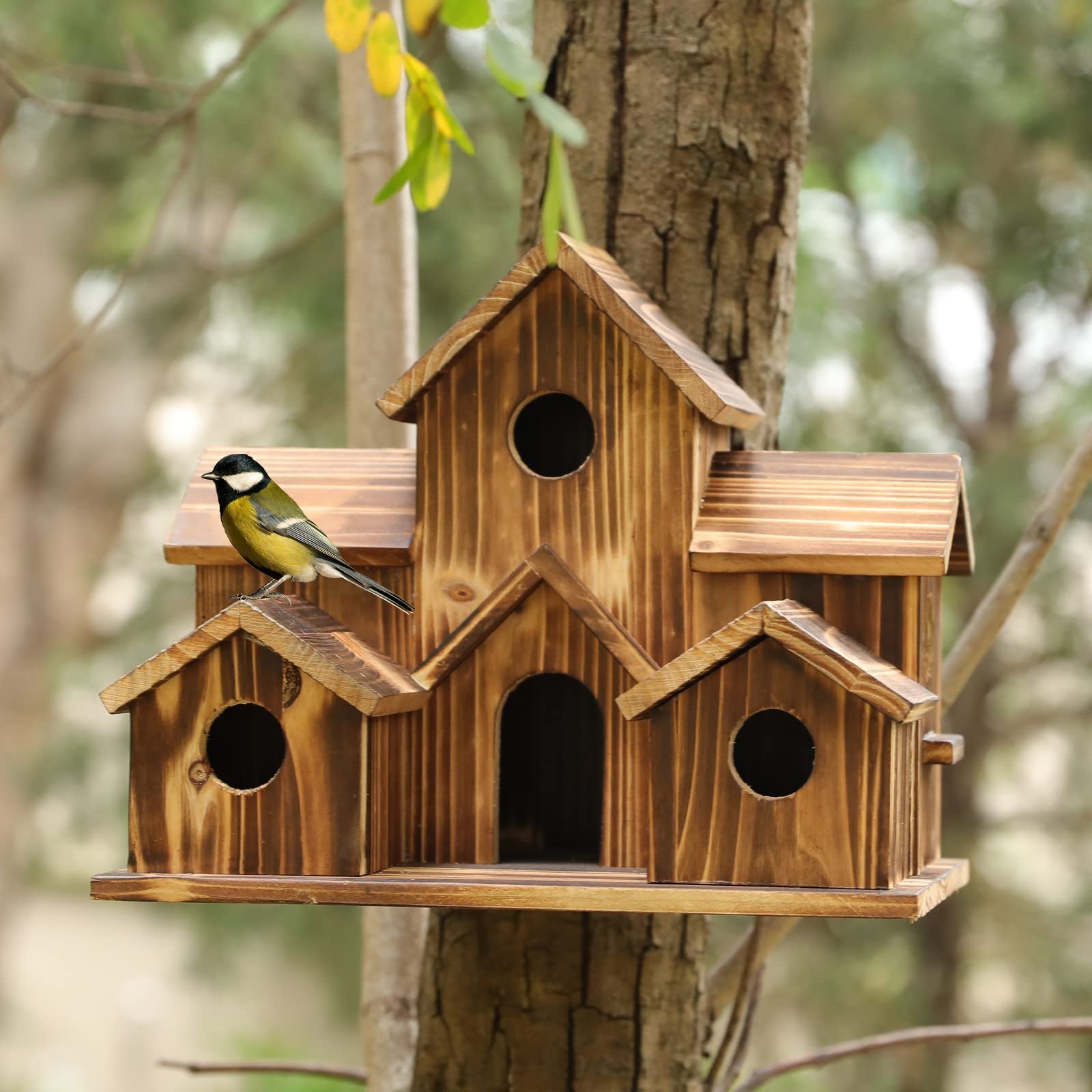 🔥Hot Sale -48% Off✨Handmade Wood Natural Feeder Decor