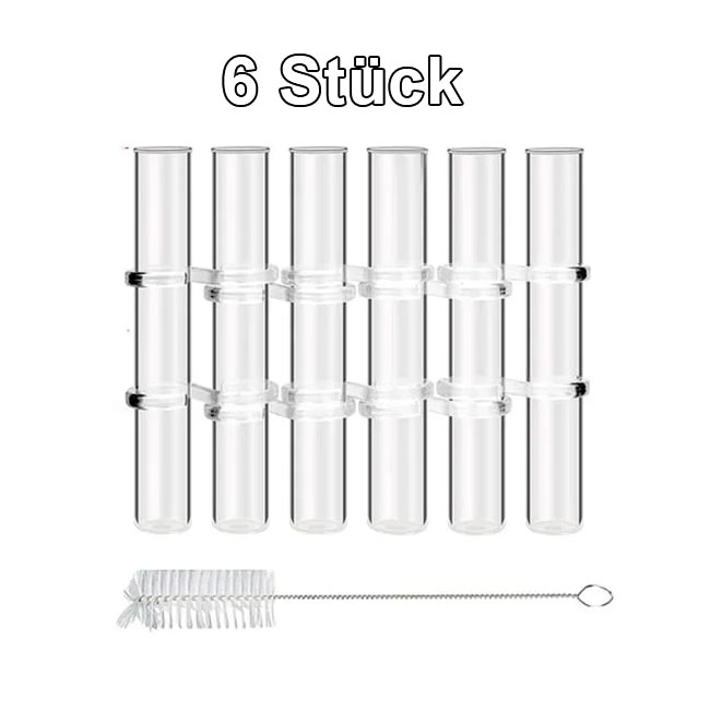 🌷Scharniervase für Blumen