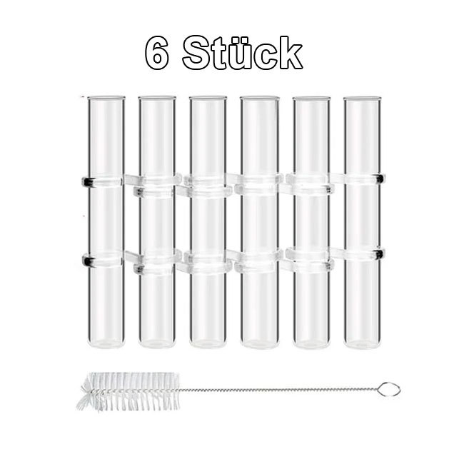 🌷Scharniervase für Blumen