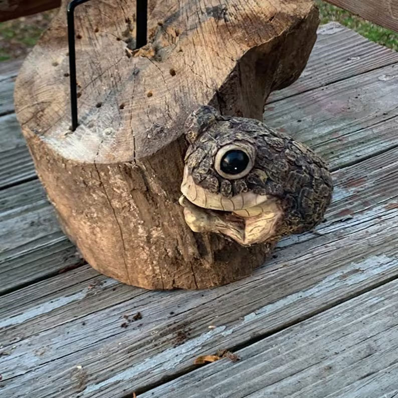 Adorable Frog Tree Peeker