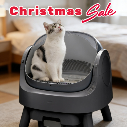 AutoScooper 11 Open-Top Self-Cleaning Cat Litter Box，Odor-Free Waste Disposal includes 60pcs Free Trash Bags