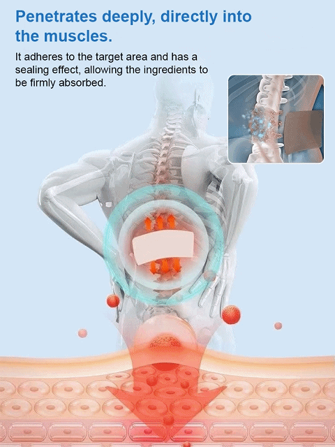 Japanese Herbal Joint Pain Relief Patches