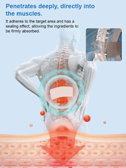 Japanese Herbal Joint Pain Relief Patches