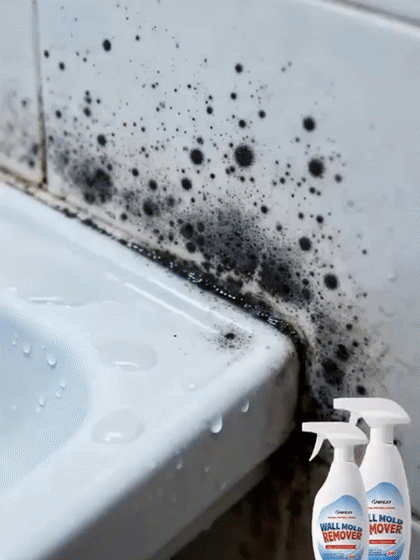 【Ecológico y no tóxico】Limpiador rápido de manchas en paredes