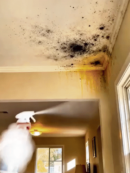 【Ecológico y no tóxico】Limpiador rápido de manchas en paredes