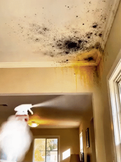 【Ecológico y no tóxico】Limpiador rápido de manchas en paredes