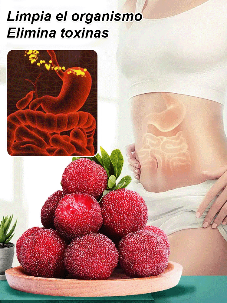 Cultivo de semillas de yangmei Dongkui en el jardín familiar.