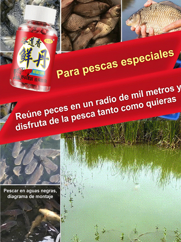 【En unos segundos un pez】Cebo para peces en gránulos de proteína animal fresca para personas perezos