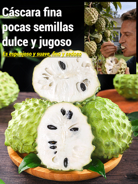 Semillas de guanábana