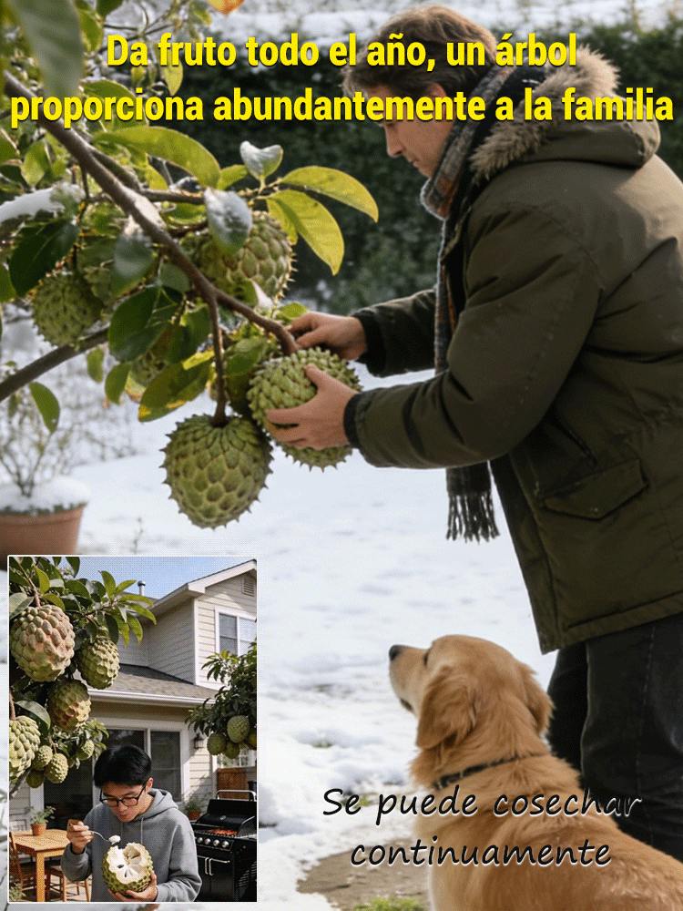 Semillas de guanábana