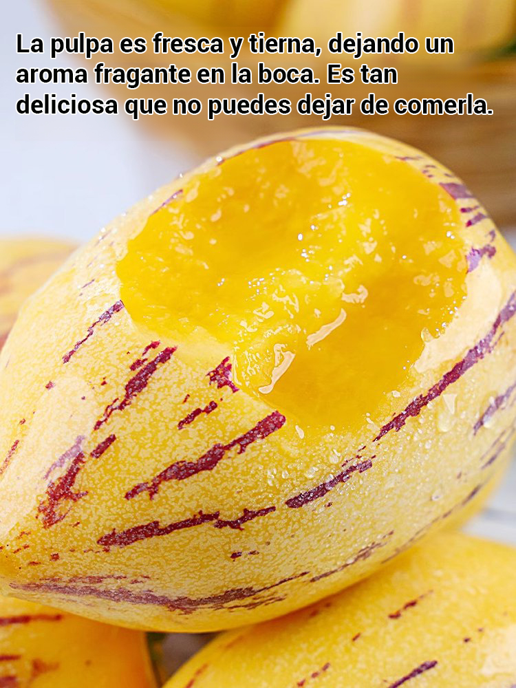 Fruta de ginseng en maceta con pulpa amarilla de sabor a leche que reduce el azúcar y la presión art