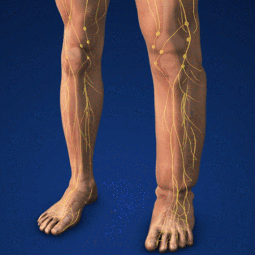 【Desbloqueo Corporal】Dispositivo de Terapia Profunda