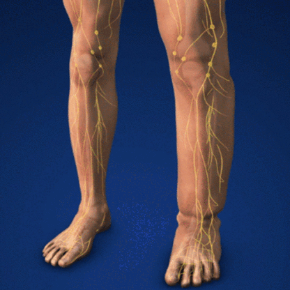 【Desbloqueo Corporal】Dispositivo de Terapia Profunda