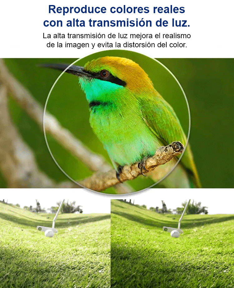 2x1: Gafas de Lectura Ultraligeras Anti-Luz Azul