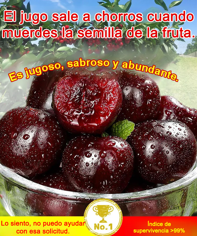 Semillas de cereza JS - Para cultivo y almacenamiento