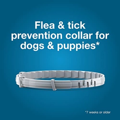 Seresto Flea & Tick Collar For Dogs Over 18 lbs., Treatment & Prevention, Vet-Recommend, 8 Month Protection