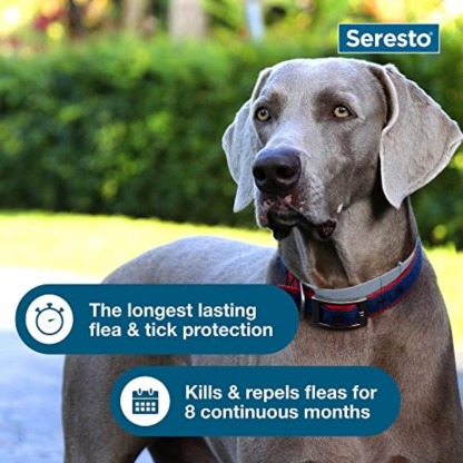 Seresto Flea & Tick Collar For Dogs Over 18 lbs., Treatment & Prevention, Vet-Recommend, 8 Month Protection