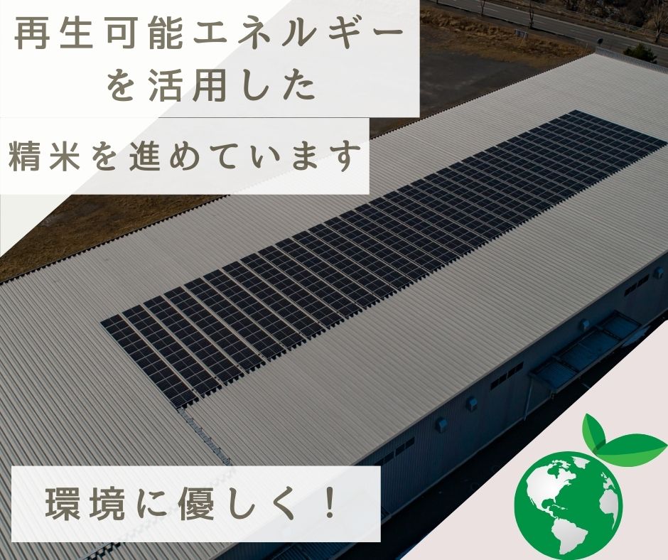 楽天SOY2025大賞受賞記念特価 福島県産コシヒカリ 白米 5kg10kg 20kg 30kg 令和7年産 送料無料 白米 5kg 白米 10kg 白米 20kg 白米 30kg 米 お米