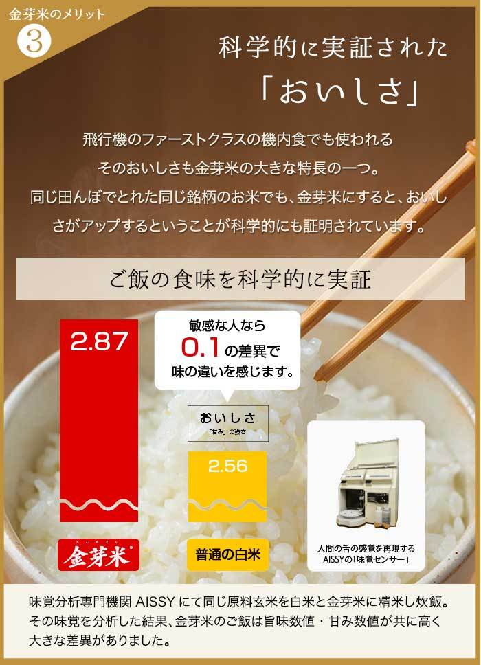 金芽米 ハイセレクト 9kg(4.5kg×2袋)【令和6年産】 国内産10割 無洗米 工場直送 送料無料 玄米の栄養を残した白米きんめまい ブレンド米　亜糊粉層（あこふんそう）国産玄米