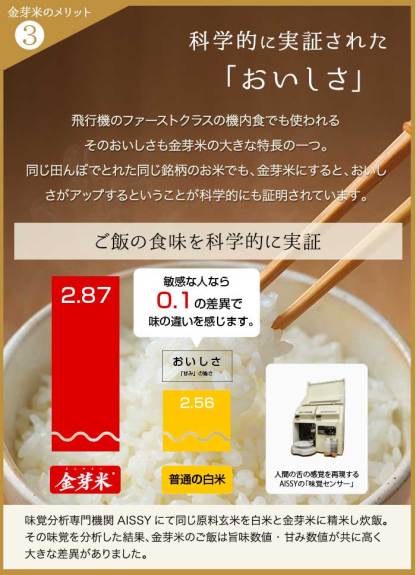 金芽米 ハイセレクト 9kg(4.5kg×2袋)【令和6年産】 国内産10割 無洗米 工場直送 送料無料 玄米の栄養を残した白米きんめまい ブレンド米　亜糊粉層（あこふんそう）国産玄米