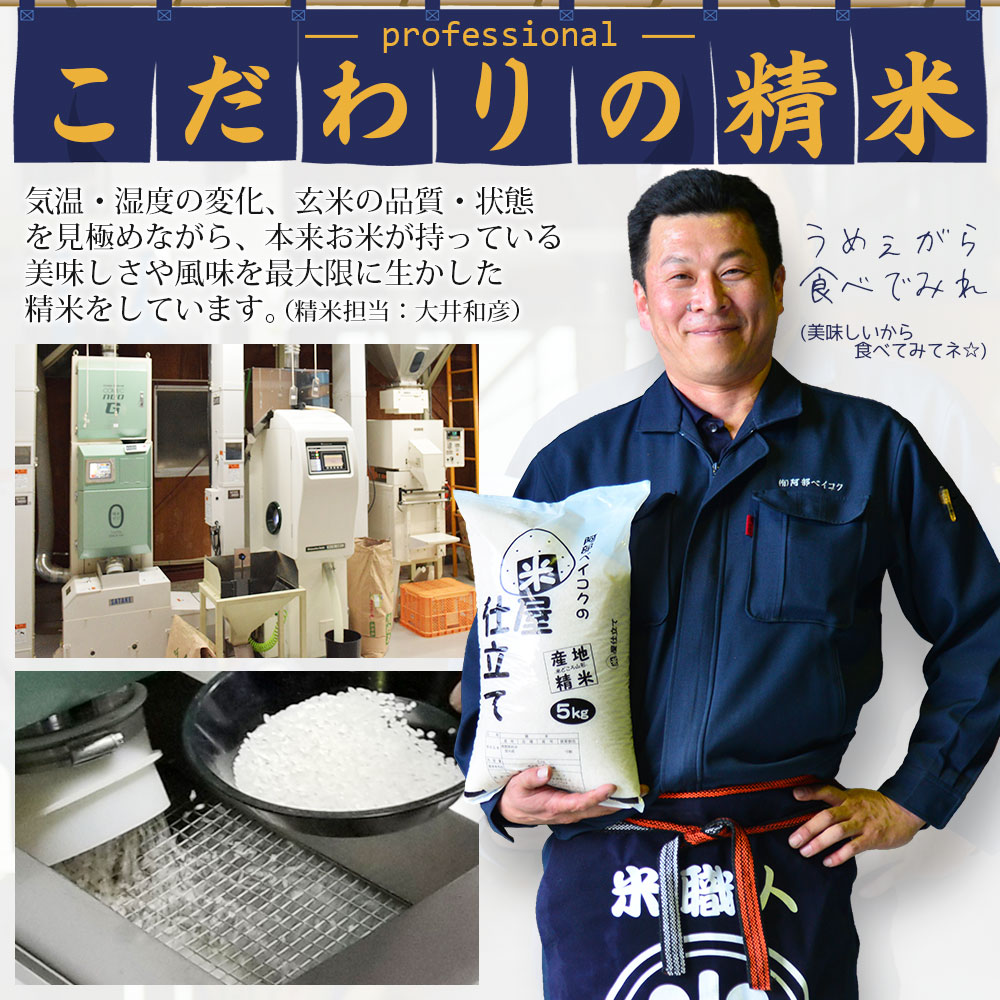 楽天ランキング受賞 お米 10kg 送料無料 家計応援まんぷく米 5kg×2袋 安い 米 10キロ コメ 白米