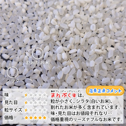 楽天ランキング受賞 お米 10kg 送料無料 家計応援まんぷく米 5kg×2袋 安い 米 10キロ コメ 白米