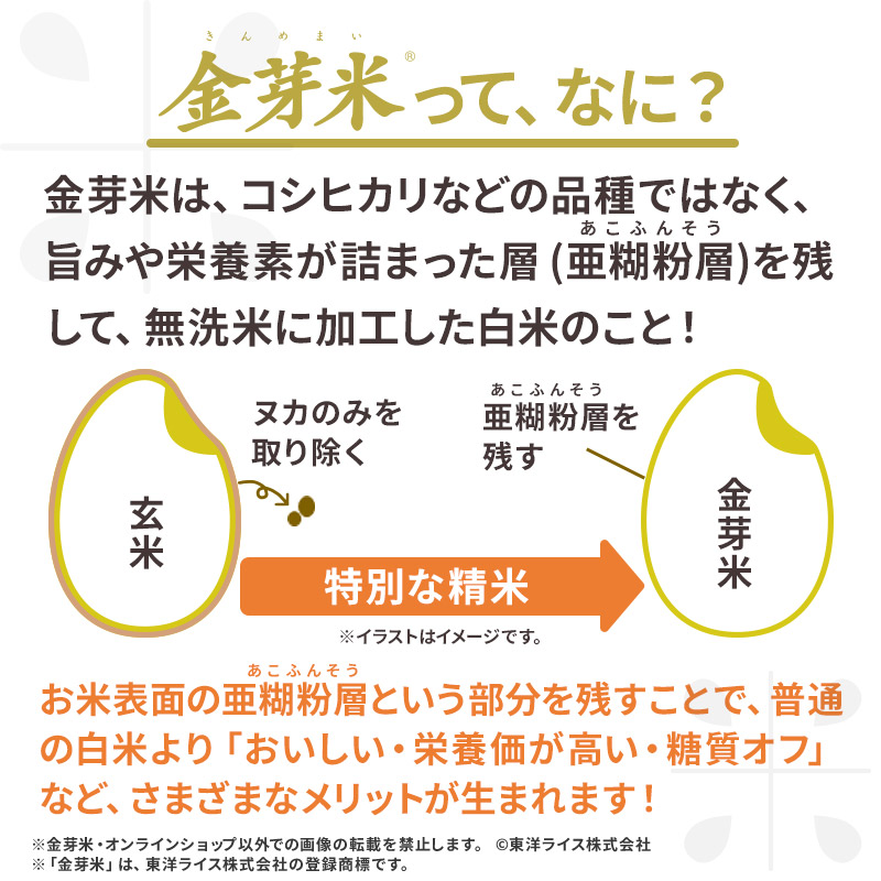【ご愛顧感謝セール】令和7年産 金芽米 ベストセレクト 10kg(5kg×2袋) 送料無料 東洋ライス 玄米の栄養を残した白米無洗米 きんめまい オリジナル ブレンド米 国内産10割 工場直送 亜糊粉層 あこふんそう 国内産 １０kg