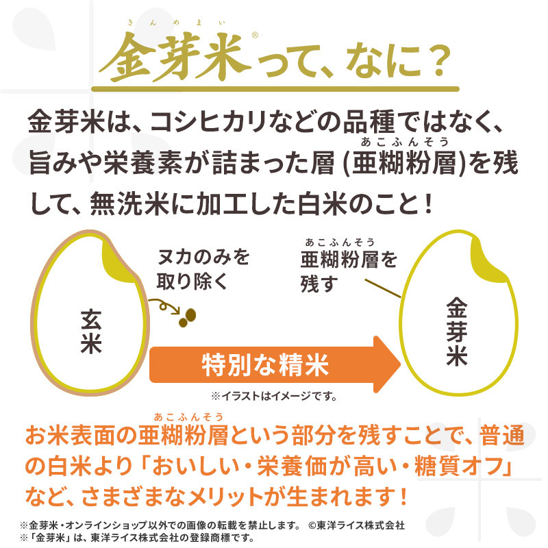 【ご愛顧感謝セール】令和7年産 金芽米 ベストセレクト 10kg(5kg×2袋) 送料無料 東洋ライス 玄米の栄養を残した白米無洗米 きんめまい オリジナル ブレンド米 国内産10割 工場直送 亜糊粉層 あこふんそう 国内産 １０kg