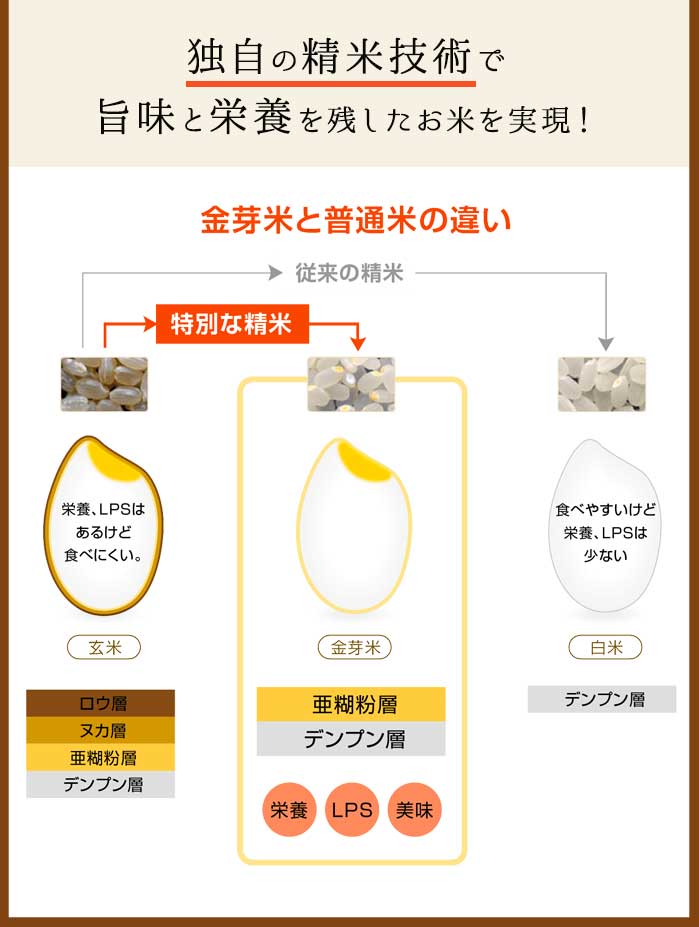 金芽米 ハイセレクト 9kg(4.5kg×2袋)【令和6年産】 国内産10割 無洗米 工場直送 送料無料 玄米の栄養を残した白米きんめまい ブレンド米　亜糊粉層（あこふんそう）国産玄米