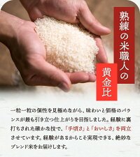 令和7年産新米使用 送料無料 備蓄米 と 新米 の ブレンド 生活応援米 10kg (5kg×2) 白米 米 お米 新米50％使用！