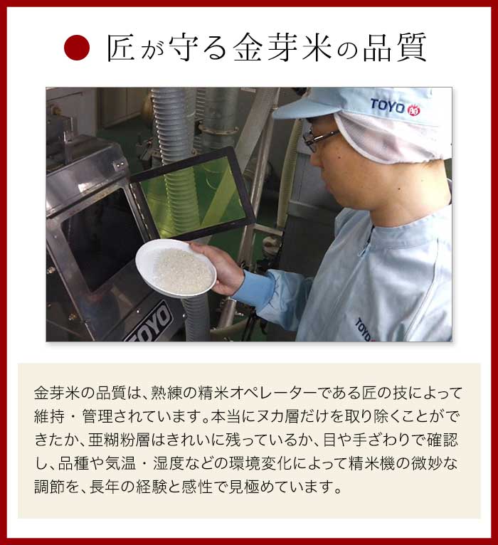 金芽米 ハイセレクト 9kg(4.5kg×2袋)【令和6年産】 国内産10割 無洗米 工場直送 送料無料 玄米の栄養を残した白米きんめまい ブレンド米　亜糊粉層（あこふんそう）国産玄米