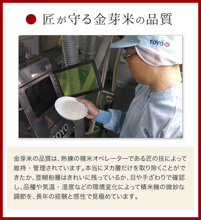 金芽米 ハイセレクト 9kg(4.5kg×2袋)【令和6年産】 国内産10割 無洗米 工場直送 送料無料 玄米の栄養を残した白米きんめまい ブレンド米　亜糊粉層（あこふんそう）国産玄米
