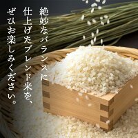 令和7年産新米使用 送料無料 備蓄米 と 新米 の ブレンド 生活応援米 10kg (5kg×2) 白米 米 お米 新米50％使用！