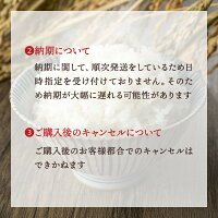 令和7年産新米使用 送料無料 備蓄米 と 新米 の ブレンド 生活応援米 10kg (5kg×2) 白米 米 お米 新米50％使用！
